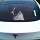 Illustration for article titled Tesla Road Trip - Debunking the New York Times